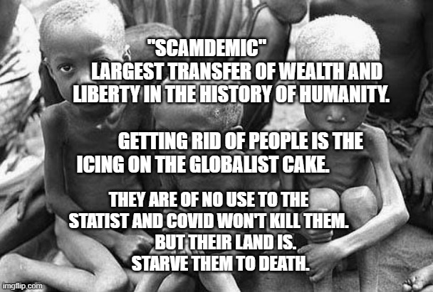 starving africans | "SCAMDEMIC"                 LARGEST TRANSFER OF WEALTH AND LIBERTY IN THE HISTORY OF HUMANITY.                                     
   GETTING RID OF PEOPLE IS THE ICING ON THE GLOBALIST CAKE. THEY ARE OF NO USE TO THE STATIST AND COVID WON'T KILL THEM.                BUT THEIR LAND IS.     
        STARVE THEM TO DEATH. | image tagged in starving africans | made w/ Imgflip meme maker