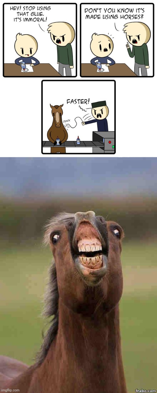 Horse glue | image tagged in horse face,horse,glue,comics/cartoons,comics,memes | made w/ Imgflip meme maker