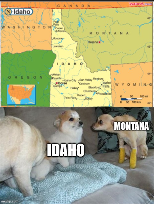 MONTANA; IDAHO | image tagged in dog stares at dog | made w/ Imgflip meme maker