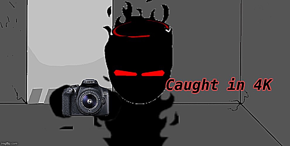 Audi caught in 4K | image tagged in audi caught in 4k | made w/ Imgflip meme maker