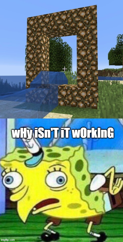 7 year-olds playing Minecraft be like | wHy iSn'T iT wOrkInG | image tagged in failed aether portal,triggerpaul | made w/ Imgflip meme maker