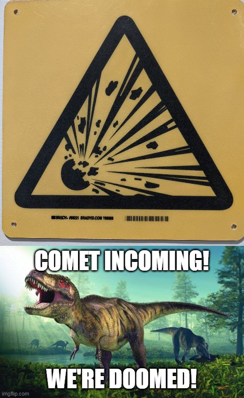 Prehistory is Pissed | COMET INCOMING! WE'RE DOOMED! | image tagged in dinosauri onesti,meme,memes,signs,humor | made w/ Imgflip meme maker