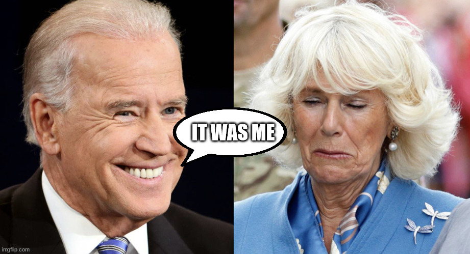 Biden and Camilla | IT WAS ME | image tagged in biden and camilla | made w/ Imgflip meme maker