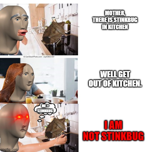 i am not stinkbug | MOTHER, THERE IS STINKBUG IN KITCHEN; WELL GET OUT OF KITCHEN. ME = STINKBUG; I AM NOT STINKBUG | image tagged in stinkbug in kitchen | made w/ Imgflip meme maker