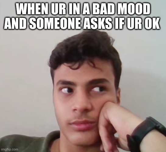 h.meme | WHEN UR IN A BAD MOOD AND SOMEONE ASKS IF UR OK | image tagged in moody | made w/ Imgflip meme maker