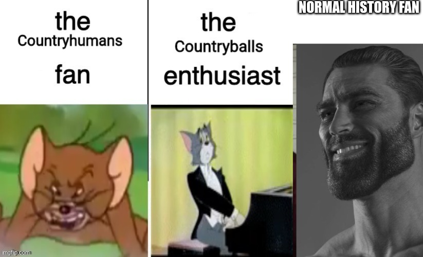 NORMAL HISTORY FAN | image tagged in average fan vs average enjoyer | made w/ Imgflip meme maker