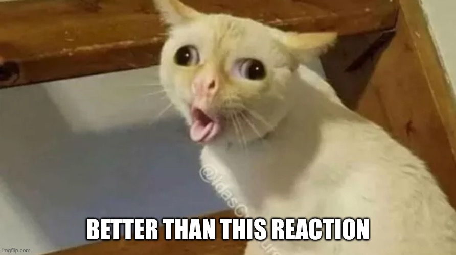 Reaction | BETTER THAN THIS REACTION | image tagged in puke cat | made w/ Imgflip meme maker