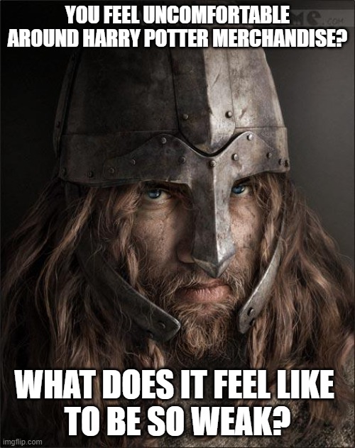 viking | YOU FEEL UNCOMFORTABLE AROUND HARRY POTTER MERCHANDISE? WHAT DOES IT FEEL LIKE 
TO BE SO WEAK? | image tagged in viking | made w/ Imgflip meme maker