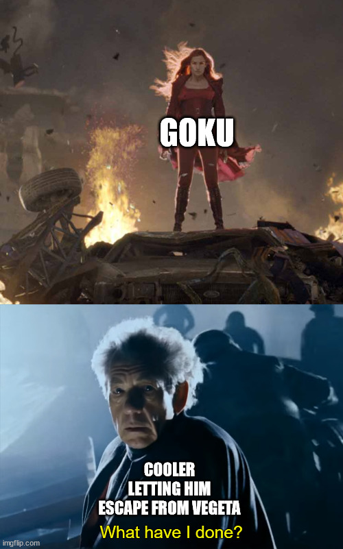 Magneto What Have I Done? | GOKU; COOLER LETTING HIM ESCAPE FROM VEGETA | image tagged in magneto what have i done | made w/ Imgflip meme maker