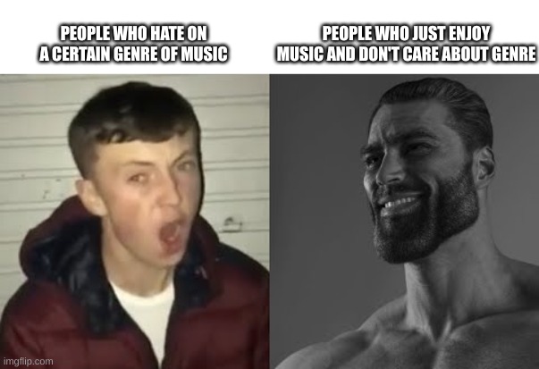 Average Enjoyer meme | PEOPLE WHO JUST ENJOY MUSIC AND DON'T CARE ABOUT GENRE; PEOPLE WHO HATE ON A CERTAIN GENRE OF MUSIC | image tagged in average enjoyer meme | made w/ Imgflip meme maker