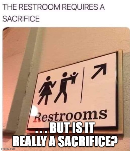 sacrificial lamb | . . . BUT IS IT REALLY A SACRIFICE? | image tagged in baby,babies,restroom,bathroom,toilet,diapers | made w/ Imgflip meme maker