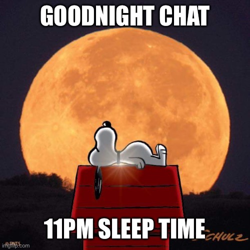 gn | GOODNIGHT CHAT; 11PM SLEEP TIME | image tagged in goodnight | made w/ Imgflip meme maker