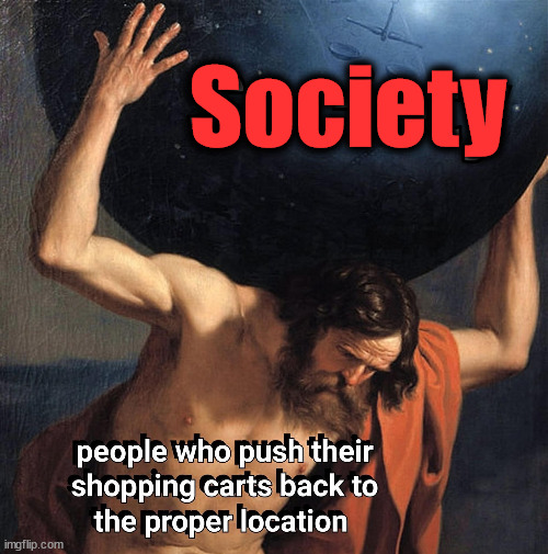 Why is it so hard to put the carts back in the corrals? | Society | image tagged in shopping cart | made w/ Imgflip meme maker