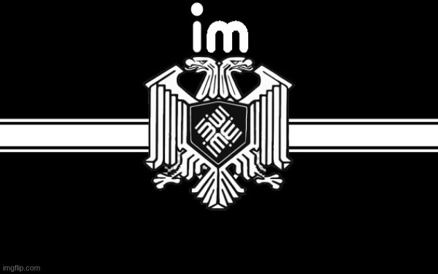 i really like this flag i made yesterday | made w/ Imgflip meme maker