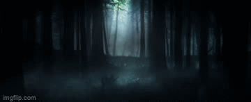 65yw9g.gif