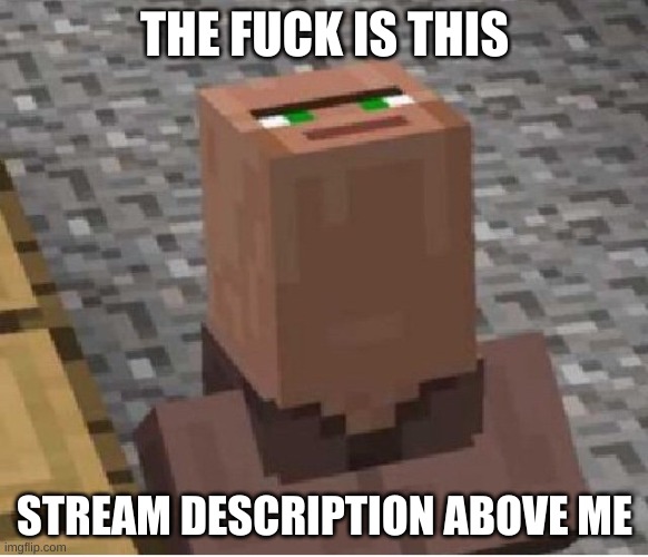 Minecraft Villager Looking Up | THE FUCK IS THIS; STREAM DESCRIPTION ABOVE ME | image tagged in minecraft villager looking up | made w/ Imgflip meme maker