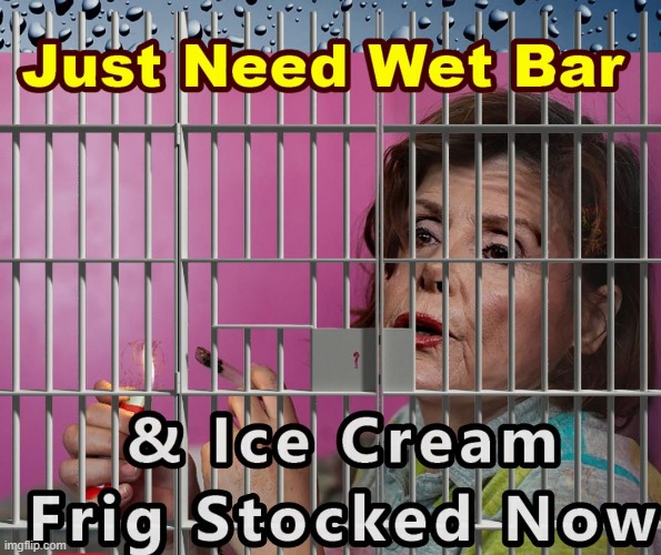 A Place for  Mom !!!! | image tagged in pelosi at home finally | made w/ Imgflip meme maker