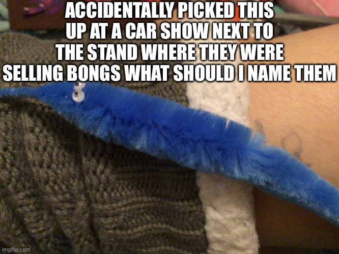 ACCIDENTALLY PICKED THIS UP AT A CAR SHOW NEXT TO THE STAND WHERE THEY WERE SELLING BONGS WHAT SHOULD I NAME THEM | made w/ Imgflip meme maker