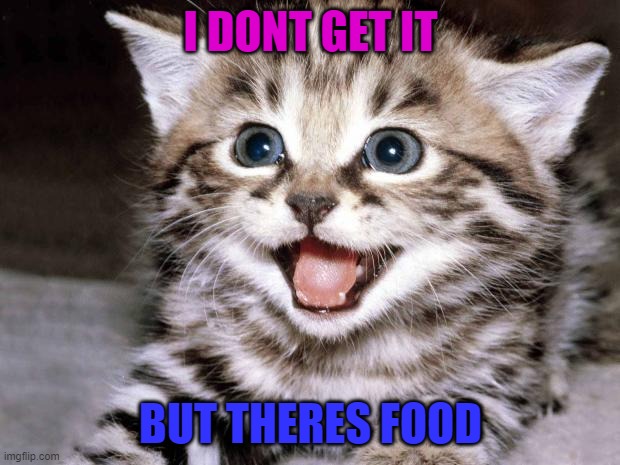 Uber Cute Cat | I DONT GET IT BUT THERES FOOD | image tagged in uber cute cat | made w/ Imgflip meme maker