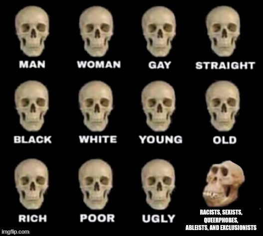 idiot skull | RACISTS, SEXISTS, QUEERPHOBES, ABLEISTS, AND EXCLUSIONISTS | image tagged in idiot skull | made w/ Imgflip meme maker
