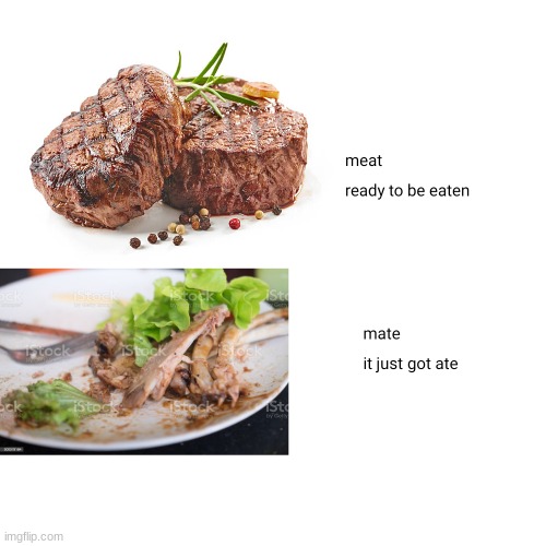 meattttttttttttttttttttttttttttttttttttttttttttttttttttttttttttttttttttttttttttttttttttttttttttttttttttttttttttttttttttttttttttt | image tagged in meat,mate | made w/ Imgflip meme maker