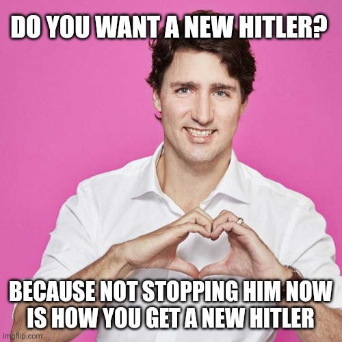 Trudeau | DO YOU WANT A NEW HITLER? BECAUSE NOT STOPPING HIM NOW
IS HOW YOU GET A NEW HITLER | image tagged in trudeau | made w/ Imgflip meme maker