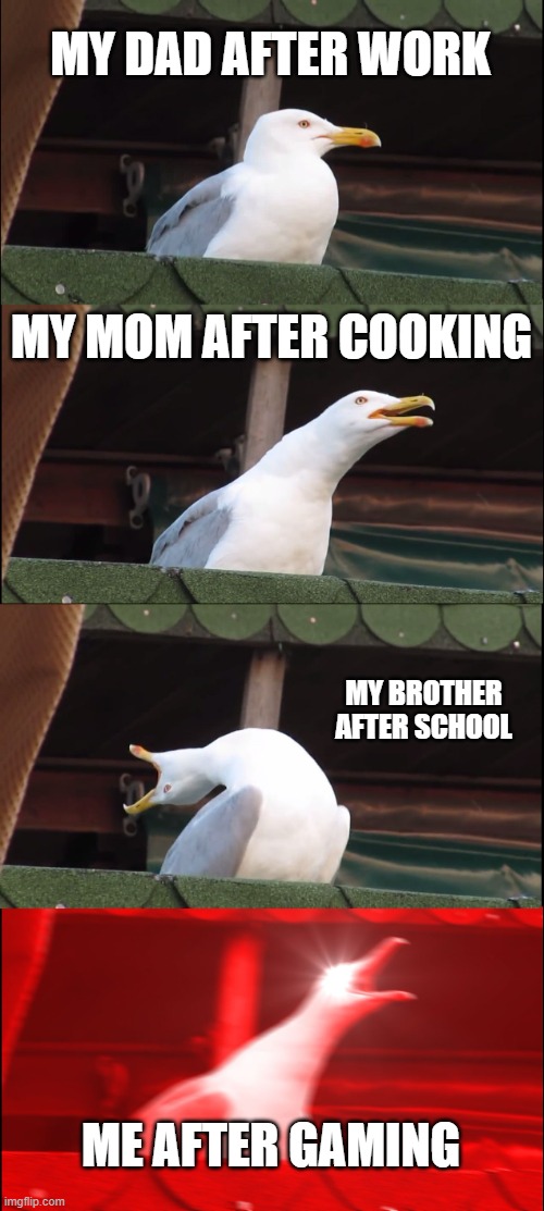 family-life | MY DAD AFTER WORK; MY MOM AFTER COOKING; MY BROTHER AFTER SCHOOL; ME AFTER GAMING | image tagged in memes,inhaling seagull,boredom | made w/ Imgflip meme maker