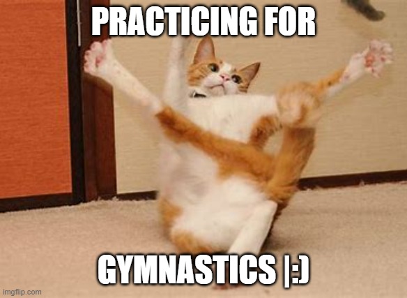 exercise with cats... | PRACTICING FOR; GYMNASTICS |:) | image tagged in stretching,cat,gymnastics | made w/ Imgflip meme maker