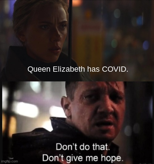 Don't give me hope - Black Widow and Hawkeye | Queen Elizabeth has COVID. | image tagged in don't give me hope - black widow and hawkeye | made w/ Imgflip meme maker