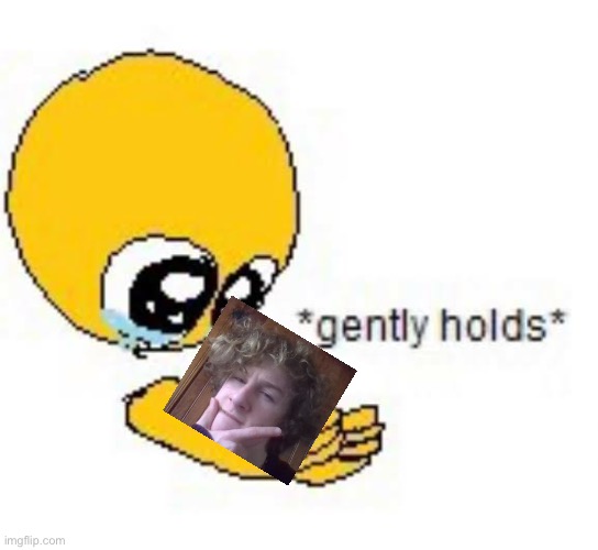 Gently holds emoji | image tagged in gently holds emoji | made w/ Imgflip meme maker