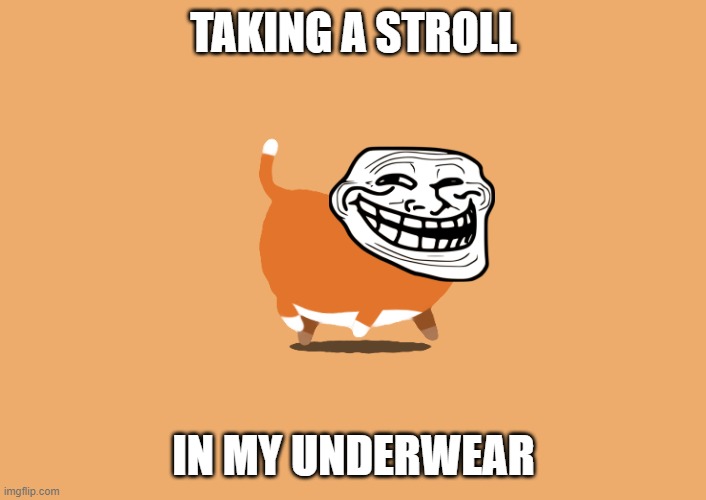 TAKING A STROLL; IN MY UNDERWEAR | image tagged in funny,cat,troll face | made w/ Imgflip meme maker