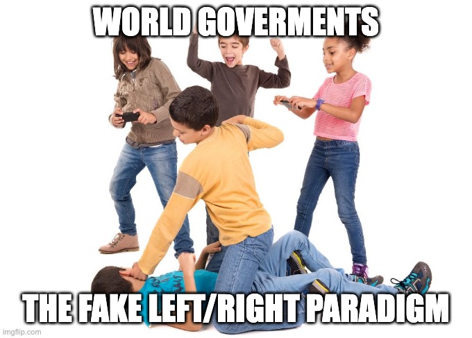 Kids fighting | WORLD GOVERMENTS; THE FAKE LEFT/RIGHT PARADIGM | image tagged in kids fighting | made w/ Imgflip meme maker