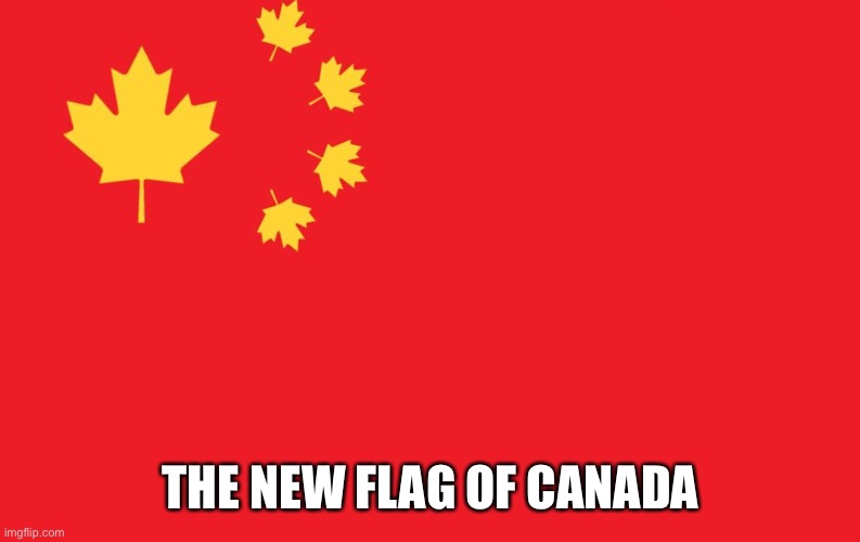 THE NEW FLAG OF CANADA | image tagged in meanwhile in canada | made w/ Imgflip meme maker