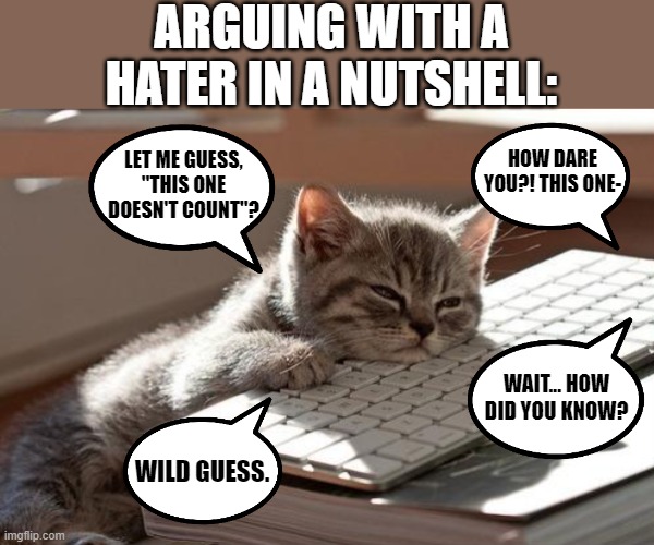 More specifically, A certain "Crusader". They say the same shit so much over and over even a bot can answer them. | ARGUING WITH A HATER IN A NUTSHELL:; HOW DARE YOU?! THIS ONE-; LET ME GUESS,
"THIS ONE DOESN'T COUNT"? WAIT... HOW DID YOU KNOW? WILD GUESS. | image tagged in haters,yeah gc i'm looking at you | made w/ Imgflip meme maker