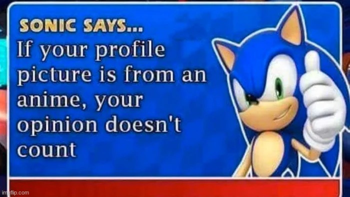 sonic says | image tagged in sonic tips,sonic | made w/ Imgflip meme maker