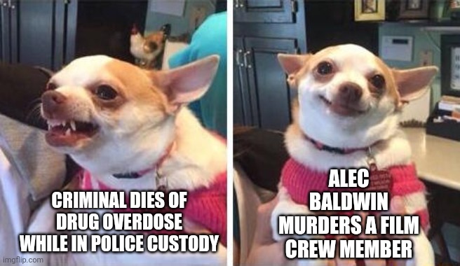angry calm dog | CRIMINAL DIES OF DRUG OVERDOSE WHILE IN POLICE CUSTODY ALEC BALDWIN MURDERS A FILM CREW MEMBER | image tagged in angry calm dog | made w/ Imgflip meme maker