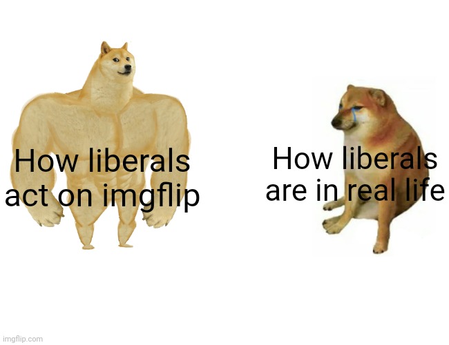 Every one of them |  How liberals are in real life; How liberals act on imgflip | image tagged in memes,buff doge vs cheems,liberals,democrats | made w/ Imgflip meme maker