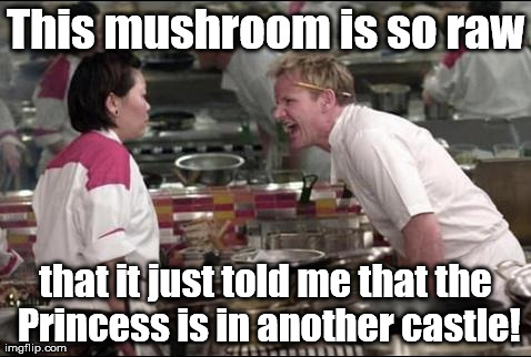 Mario and Luigi need to search elsewhere. | This mushroom is so raw that it just told me that the Princess is in another castle! | image tagged in memes,angry chef gordon ramsay | made w/ Imgflip meme maker