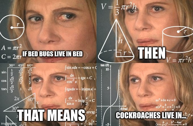 shower thoughts | THEN; IF BED BUGS LIVE IN BED; THAT MEANS; COCKROACHES LIVE IN... | image tagged in calculating meme | made w/ Imgflip meme maker