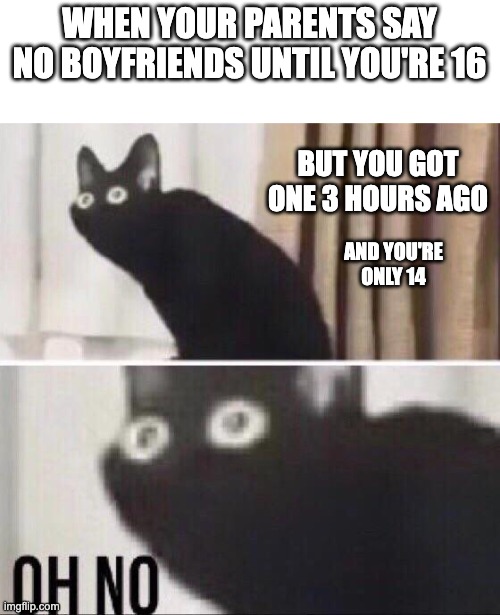 When parents are too late | WHEN YOUR PARENTS SAY NO BOYFRIENDS UNTIL YOU'RE 16; BUT YOU GOT ONE 3 HOURS AGO; AND YOU'RE ONLY 14 | image tagged in oh no cat | made w/ Imgflip meme maker