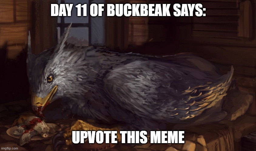 Buckbeak | DAY 11 OF BUCKBEAK SAYS:; UPVOTE THIS MEME | image tagged in buckbeak,memes,upvote if you agree,fishing for upvotes,upvote begging,begging for upvotes | made w/ Imgflip meme maker