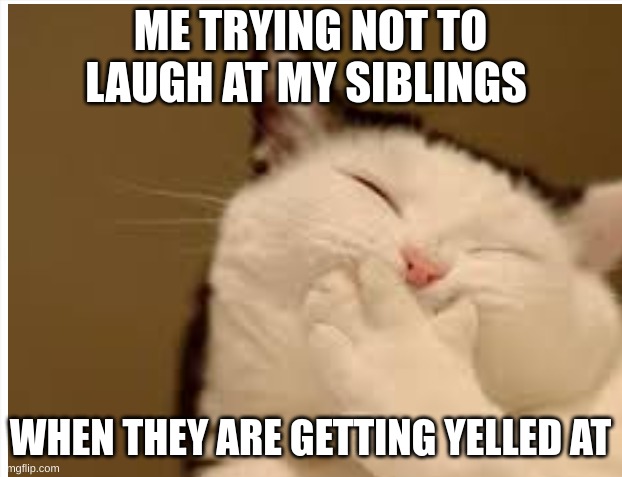  ME TRYING NOT TO LAUGH AT MY SIBLINGS; WHEN THEY ARE GETTING YELLED AT | image tagged in funny meme,funny cats | made w/ Imgflip meme maker