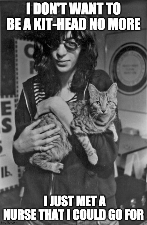 Joe & Kitty Ramone | I DON'T WANT TO BE A KIT-HEAD NO MORE; I JUST MET A NURSE THAT I COULD GO FOR | image tagged in punk rock cat,punk,kitty,cat | made w/ Imgflip meme maker