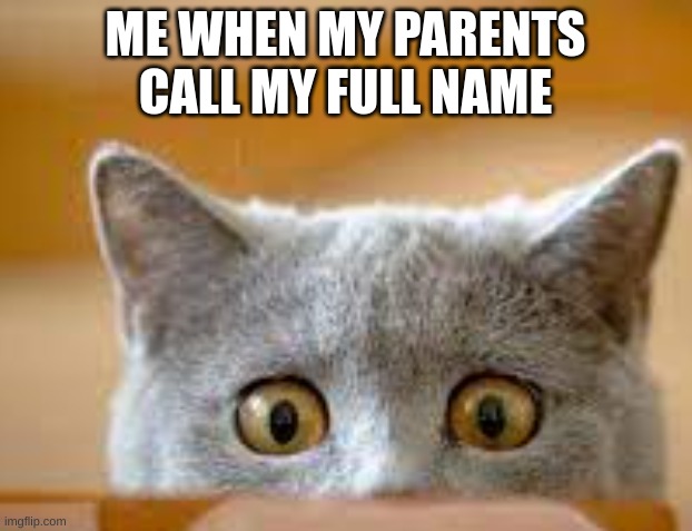 Scary | ME WHEN MY PARENTS CALL MY FULL NAME | image tagged in parents,big trouble,funny cats,oh naw | made w/ Imgflip meme maker