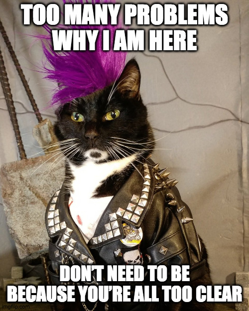The Kit Pistols | TOO MANY PROBLEMS
WHY I AM HERE; DON’T NEED TO BE
BECAUSE YOU’RE ALL TOO CLEAR | image tagged in punk rock,punk,kitty,cat,rebel,anarchy | made w/ Imgflip meme maker