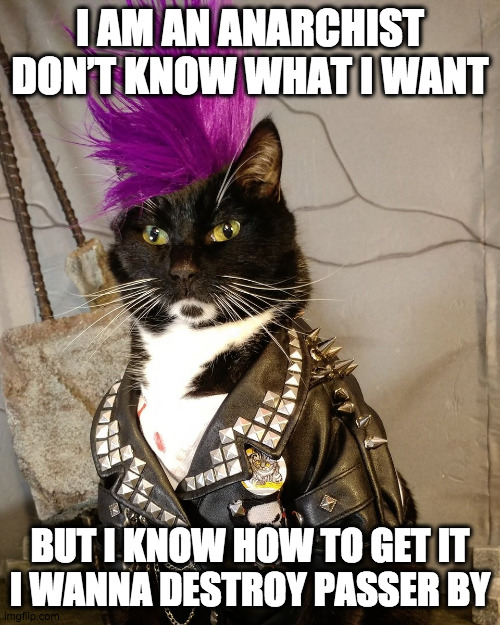 Kitten Rotten |  I AM AN ANARCHIST
DON’T KNOW WHAT I WANT; BUT I KNOW HOW TO GET IT
I WANNA DESTROY PASSER BY | image tagged in punk rock,kitty,anarchy,cat,nihilism,antisocial | made w/ Imgflip meme maker