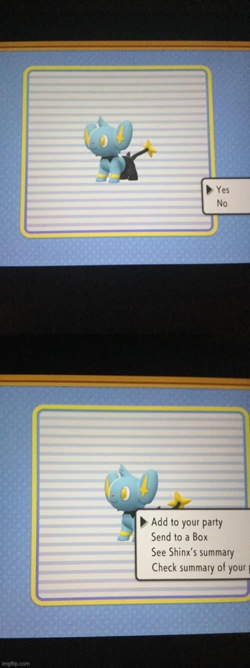 My game is in a state where text boxes no longer exist | image tagged in pokemon | made w/ Imgflip meme maker