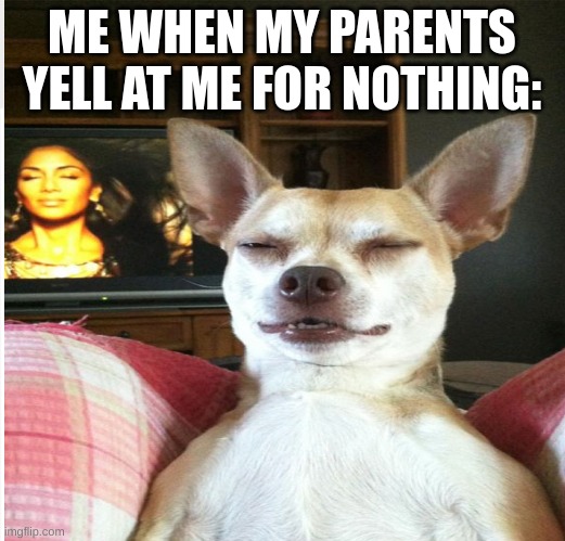 Parents... Being Parents | ME WHEN MY PARENTS YELL AT ME FOR NOTHING: | image tagged in memes,brace yourselves x is coming | made w/ Imgflip meme maker