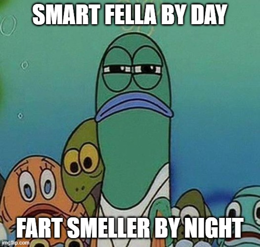 SpongeBob | SMART FELLA BY DAY; FART SMELLER BY NIGHT | image tagged in spongebob | made w/ Imgflip meme maker