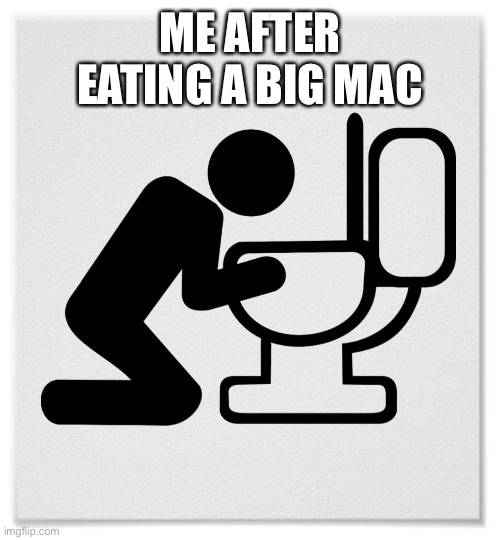 Why I hate Big Macs | ME AFTER EATING A BIG MAC | image tagged in barfing into the toilet | made w/ Imgflip meme maker